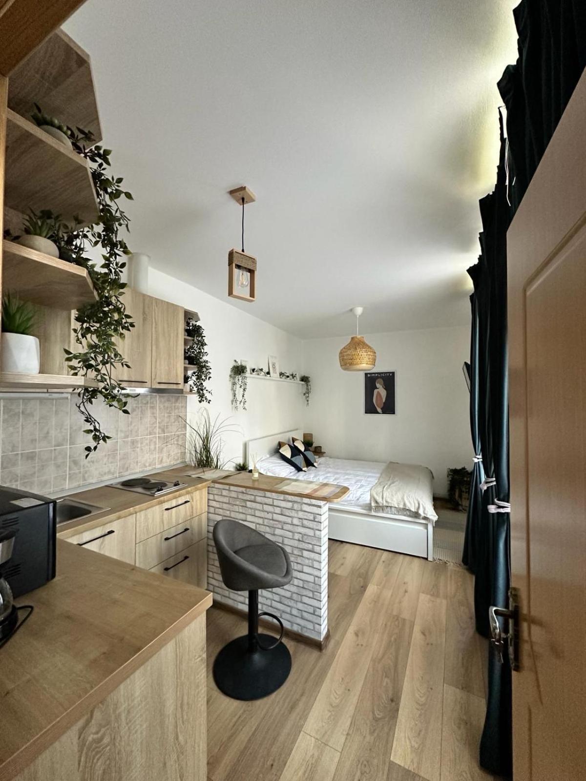 Zen Studio Brasov Exterior photo